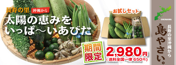 ���줫����䤵��������å� 2010