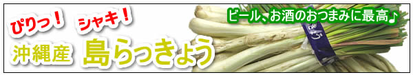 島らっきょう