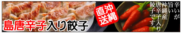 沖縄産島唐辛子入り餃子