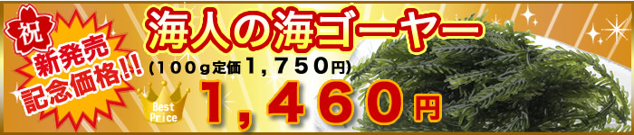 新発売記念価格！海人の海ゴーヤー1,460円