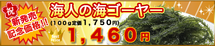 新発売記念価格！海人の海ゴーヤー1,460円