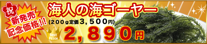 新発売記念価格！海人の海ゴーヤー1,460円