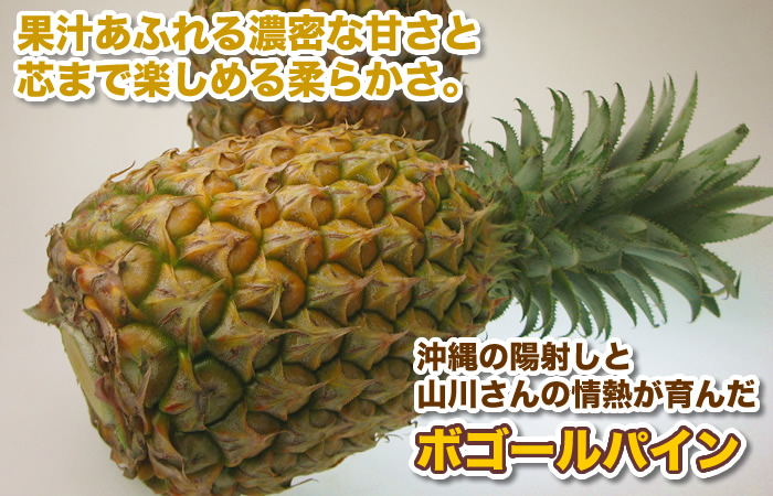 ボゴールパイン（スナックパイン）