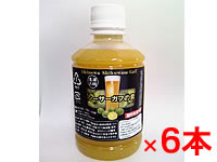 シーサーガフの素300g×6本
