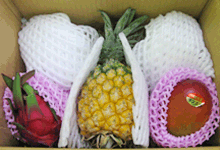 沖縄産　フルーツ3種セット