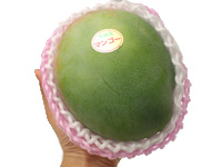 キーツマンゴー【お試し価格】1玉(約550〜650g)