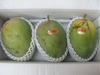 【訳あり・自宅用】キーツマンゴー　約２Kg（2〜5玉入り）