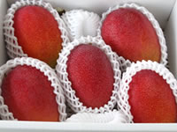 【送料無料】沖縄完熟マンゴー（秀品） 約２Kg（４〜６玉入り）