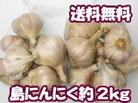 【送料無料】沖縄産島にんにく　約２Kg